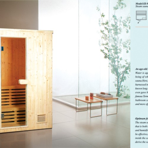 Luxury sauna room 9901