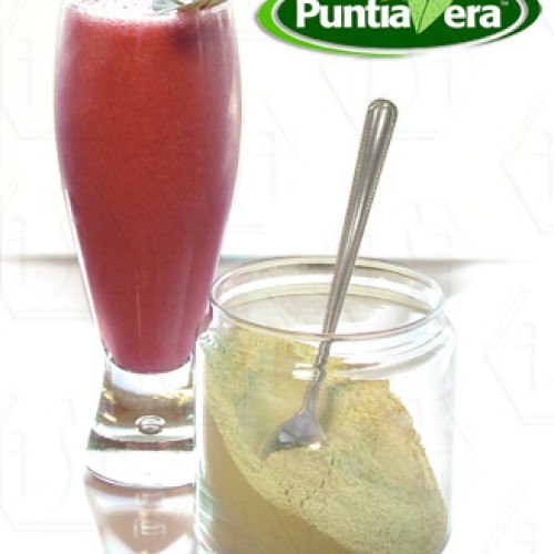 Puntiavera® organic nopal powder