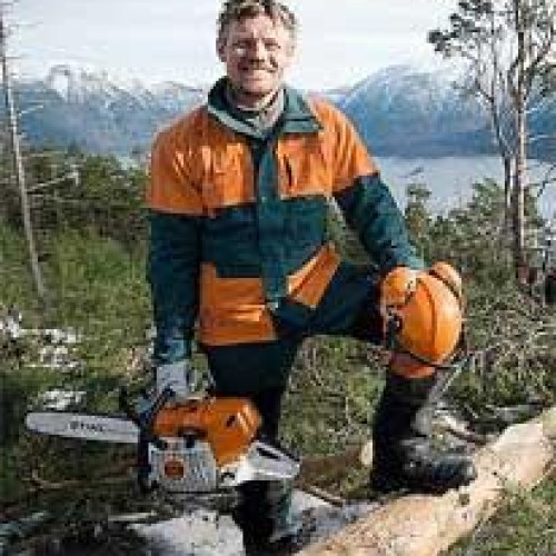 Stihl chain saw