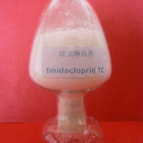 Imidacloprid