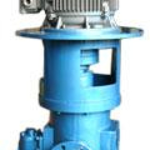 Twin screw pump (vertical)