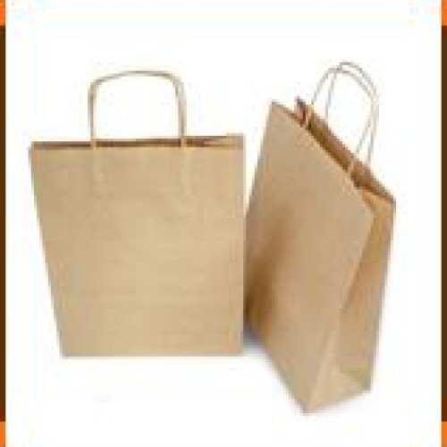 Carry bags for bulk packaging
