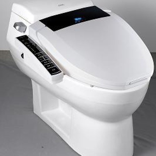 Paseco electric bidet-xime