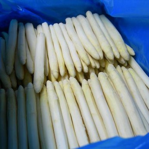 Frozen green/white asparagus cuts/t