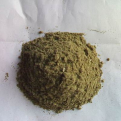 Fish meal 