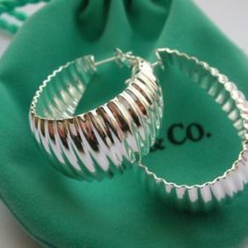 Gucci earrings, 925 silver jewelry