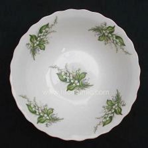 Salad bowl-hf3043