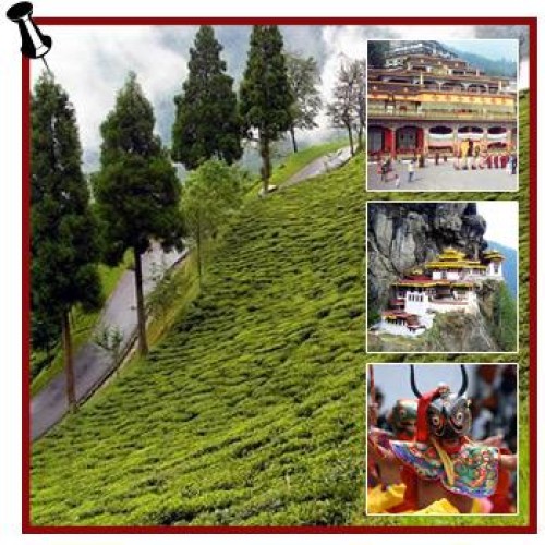 Bangalore, mysore, ooty, kodaikanal tour