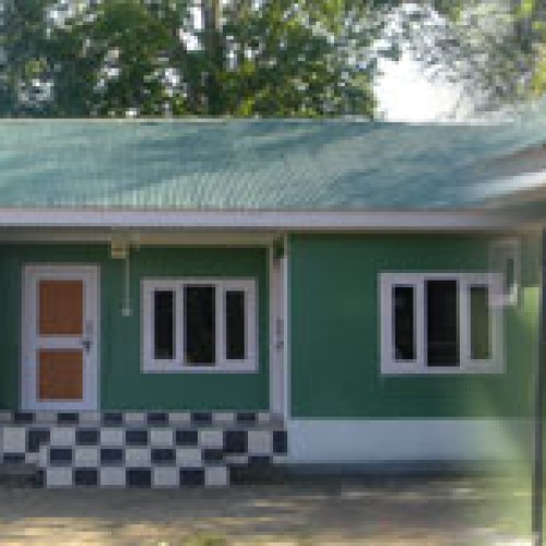 Insulated roofing
