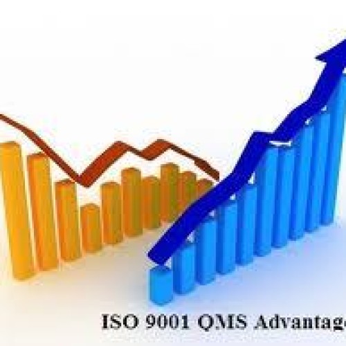 Iso 9001:2008 (qms)