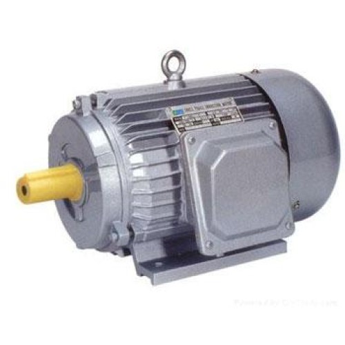 Induction motors