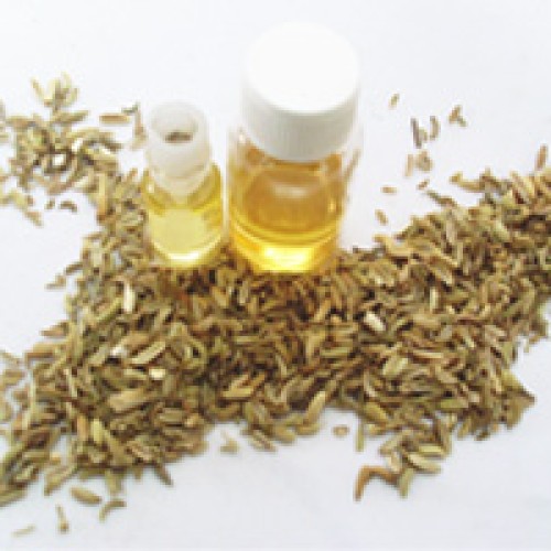 Sell fennel oil.