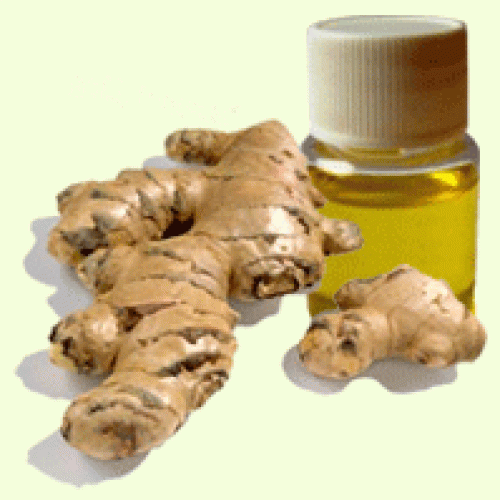 Sell groundnut oil