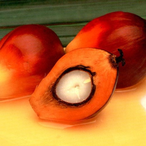 Sell palm oil