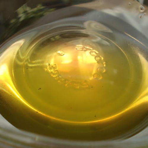 Sell   fresh oil (tea tree oil)