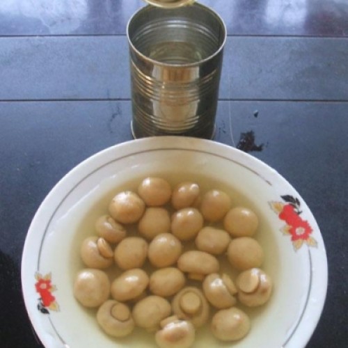 Canned mushrooms