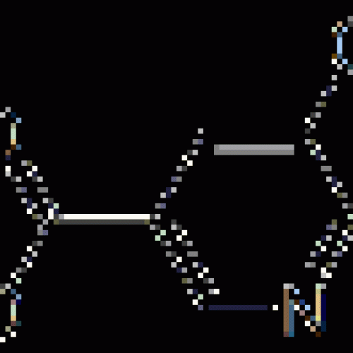 5-hydroxynicotinic acid 27828-71-3