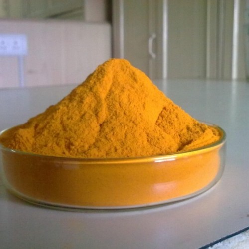 Curcuma longa extract