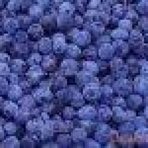 Blueberry anthocyanin(sales9 at lgb