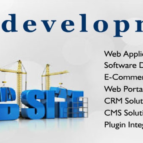 Website development