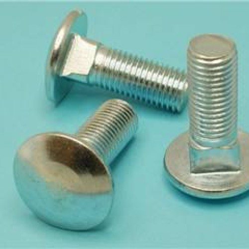 Carriage bolt