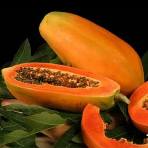 Papaya