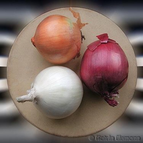 Onions - Red, white, yellow`