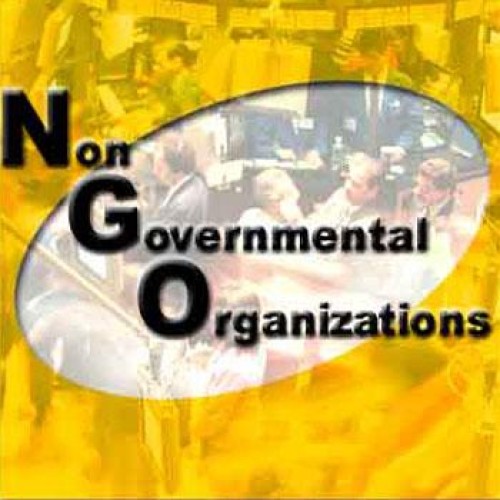 Ngo