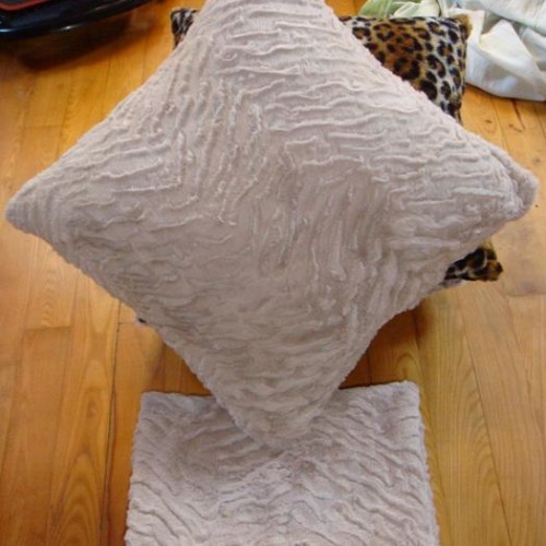 Fashion cushion and shawl