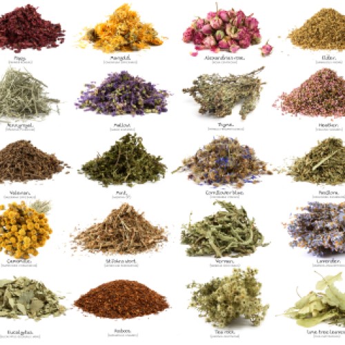 All kind of ayurvedic and  herbal extract