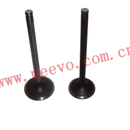 Exhaust valve/lntake valve