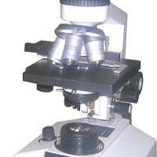 Binocular microscope