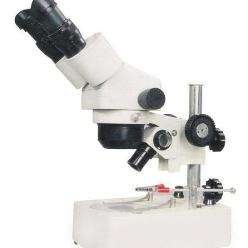 Stereo zoom microscope