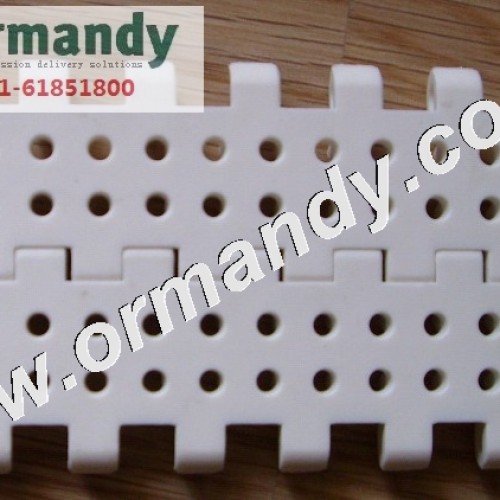 Plastic module chain