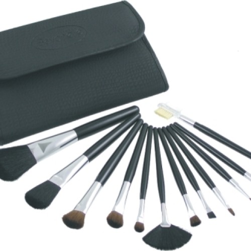 Cosmetic brush set