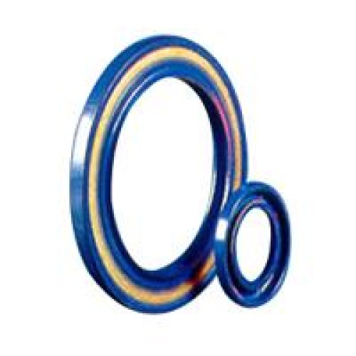 Oil seals