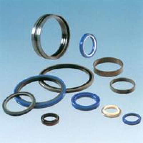 Hydraulic seals