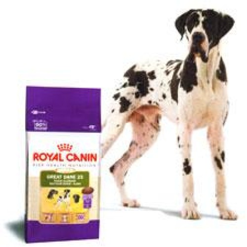 Dog accessories and dog food