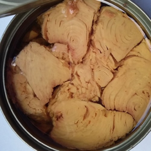 Canned tongol tuna in oil chunk