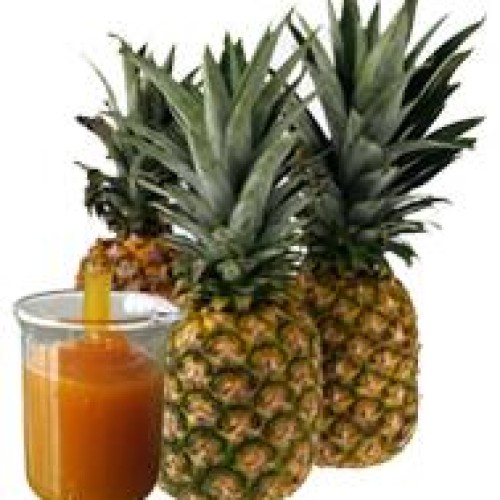 Sell pineapple pulp