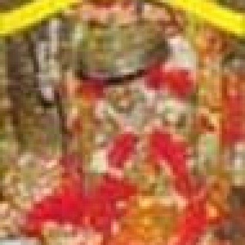 Devi darshan