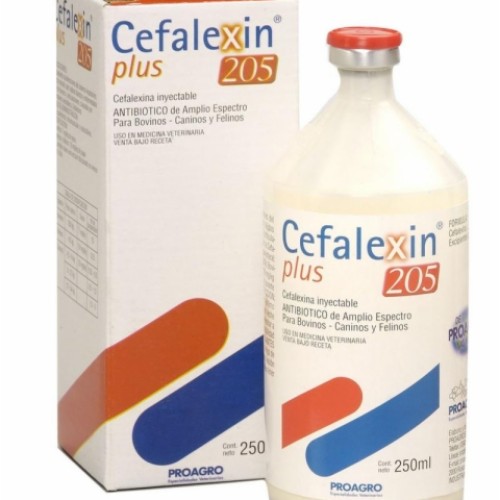 Cefalexin plus 205