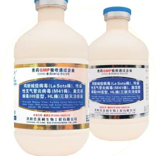 Fucoxanthin