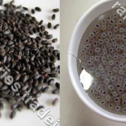 Basil seed