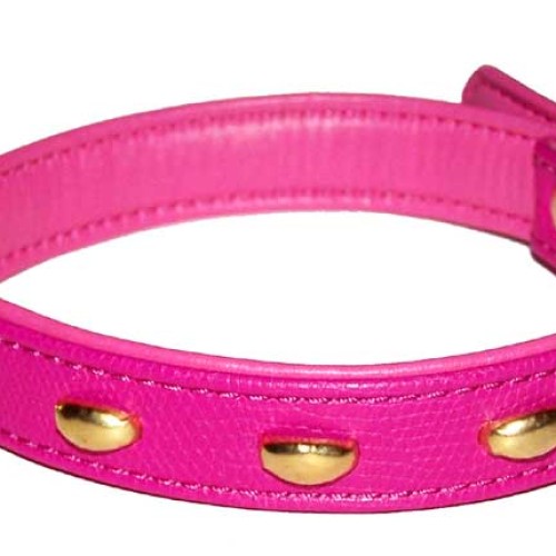 Dog Collars & Leashes