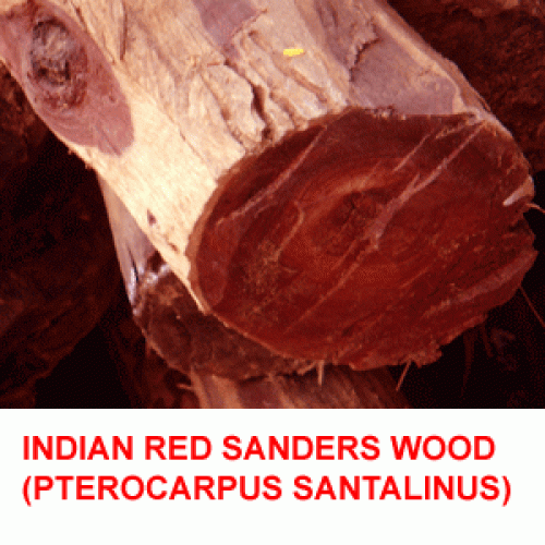 India red sanders wood