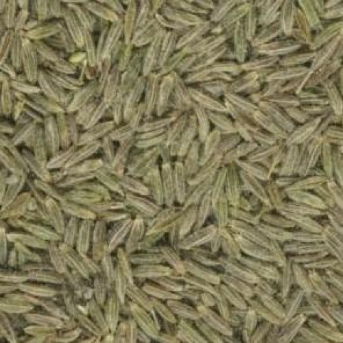 Cumin seeds