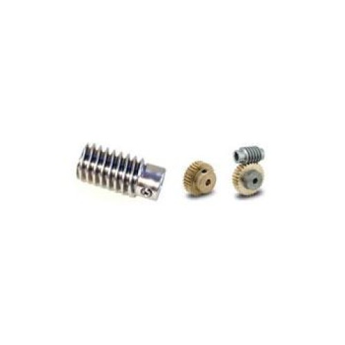 Worm and worm gears