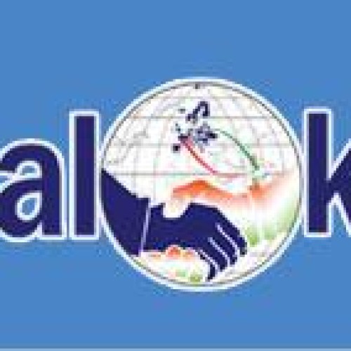 Salokh web development services