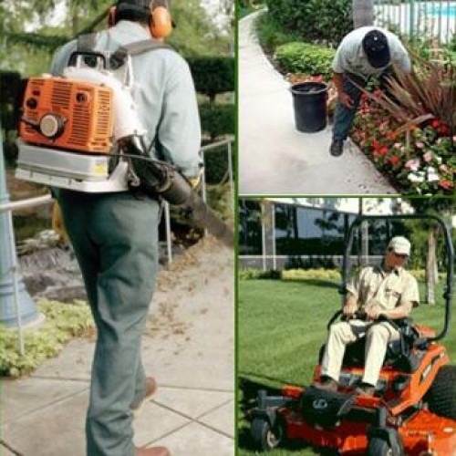 Landscape maintenance services